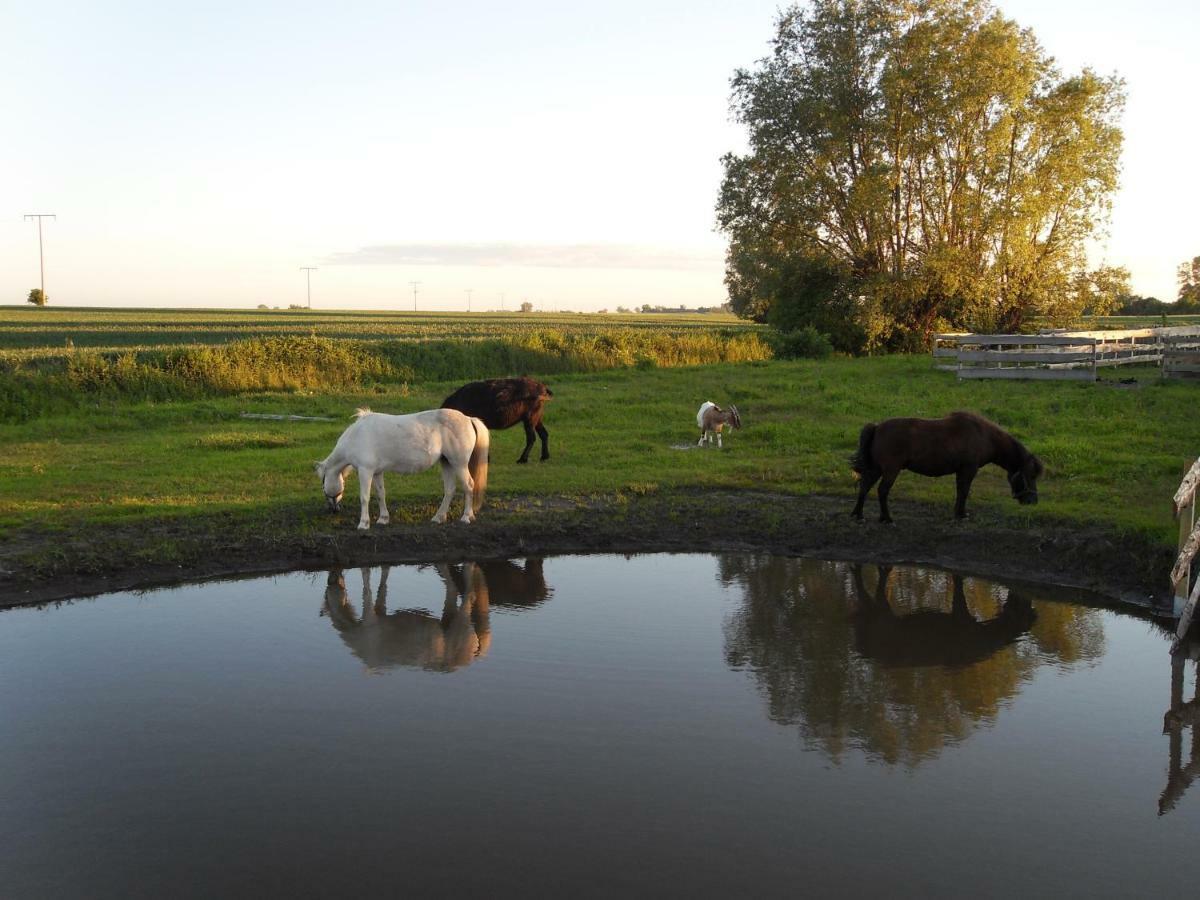 Horse Lake Ranch Neuendorf  Екстер'єр фото